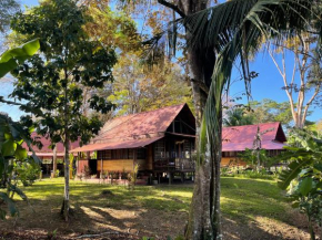 Hotels in Agua Buena